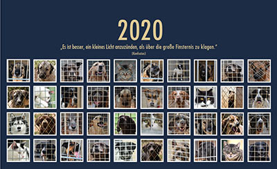 sans frontières Kalender 2020