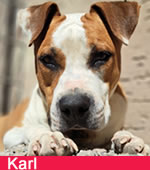 Karl