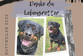 Danke du Lebensretter