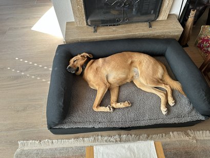 Kaya