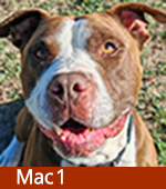 Mac