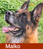 Malko