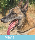 Mayla