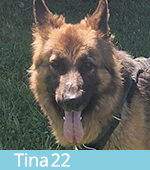 Tina 22
