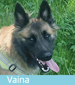 Vaina