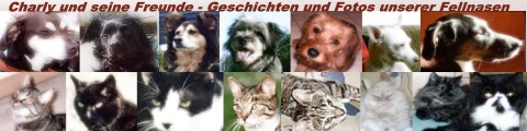 Charly und seine Freunde - Geschichten und Fotos