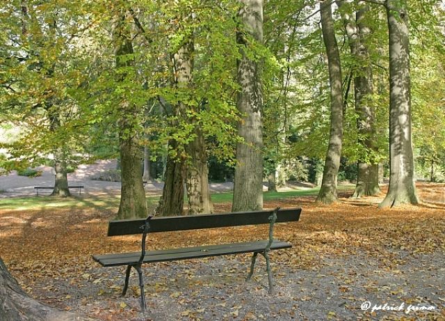 Herbst Bank (automne banc)