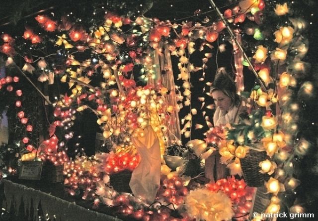 Weihnachtslichter (lumi&egrave;res de Noel)