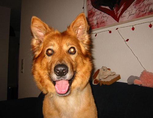 Greta war beim Friseur