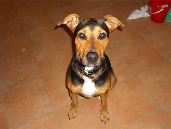 Meine ersten Tage mit meiner neuen Familie