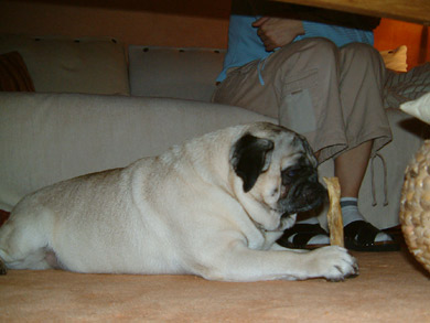 Meine ersten Tage mit meiner neuen Familie