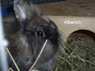 Alberich