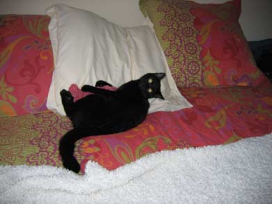 Cheyenne und Tonerre