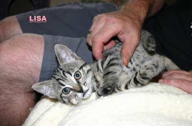 Louis, Lisa, Lotte, Luke