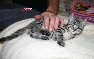 Louis, Lisa, Lotte, Luke