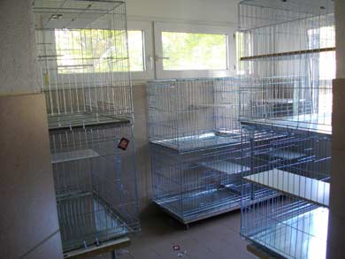 Katzenunterbringung Tierheim Colmar