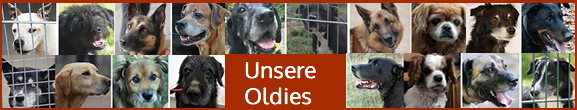 Unsere Oldies